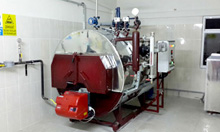 VERTISA_STEAM_BOILER1.jpg